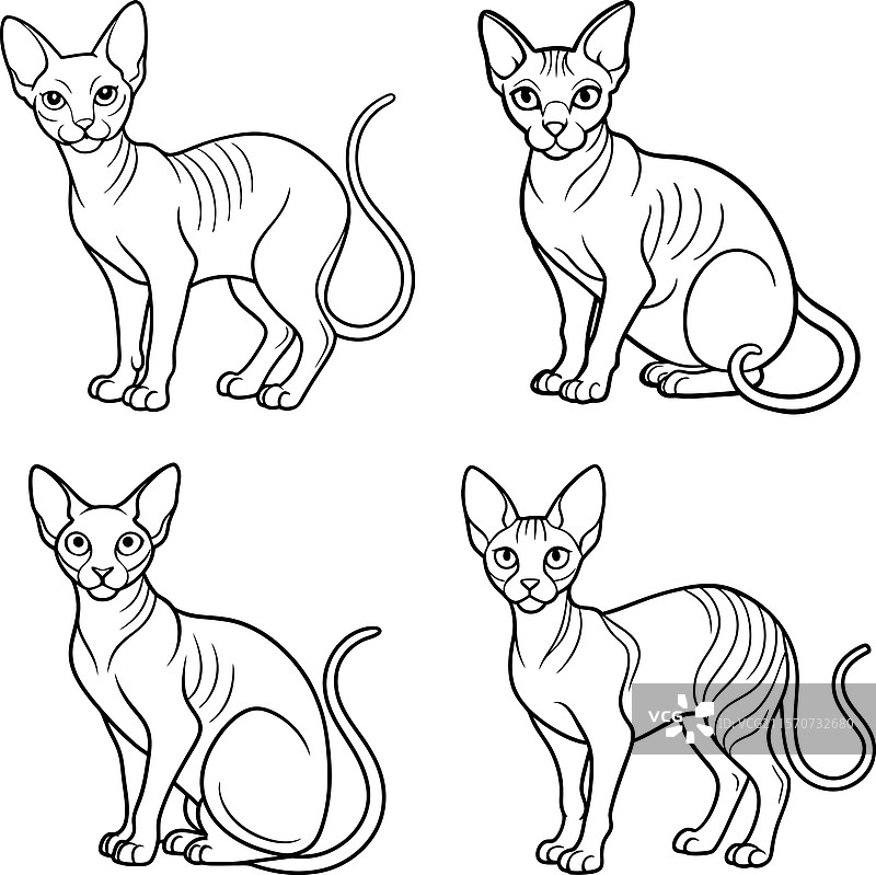 可爱的猫轮廓线条艺术系列图片素材