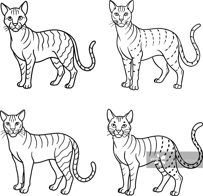 可爱的猫轮廓线条艺术系列图片素材