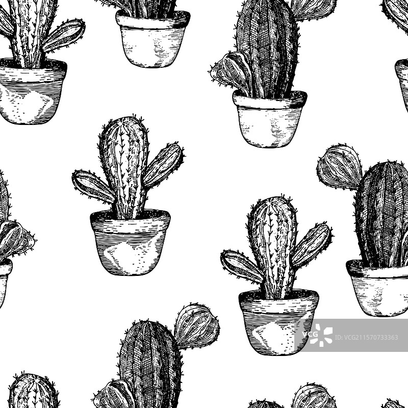 无缝图案，盛开的多肉植物仙人掌图片素材