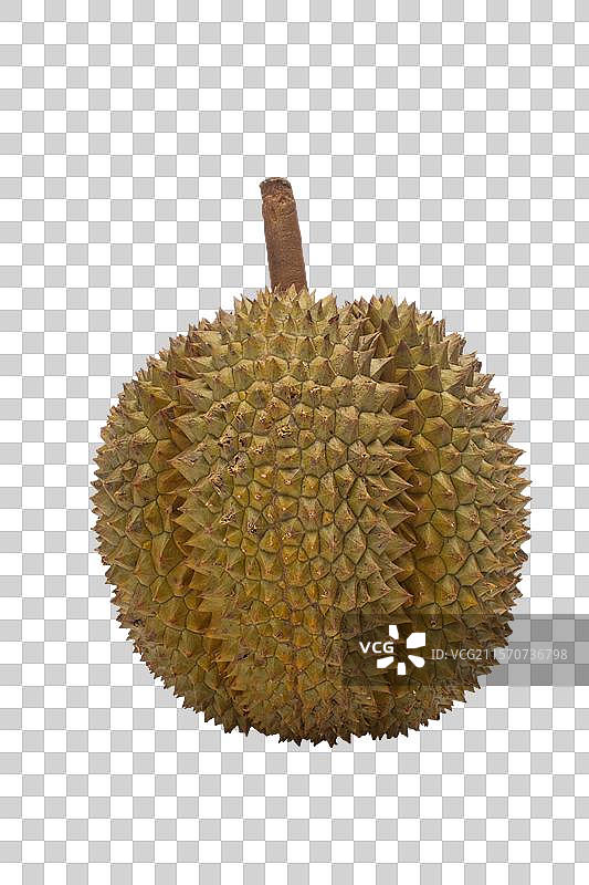 榴莲图片素材