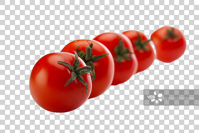 西红柿圣女果图片素材