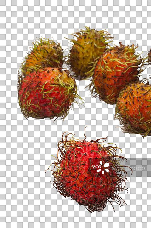 红毛丹图片素材