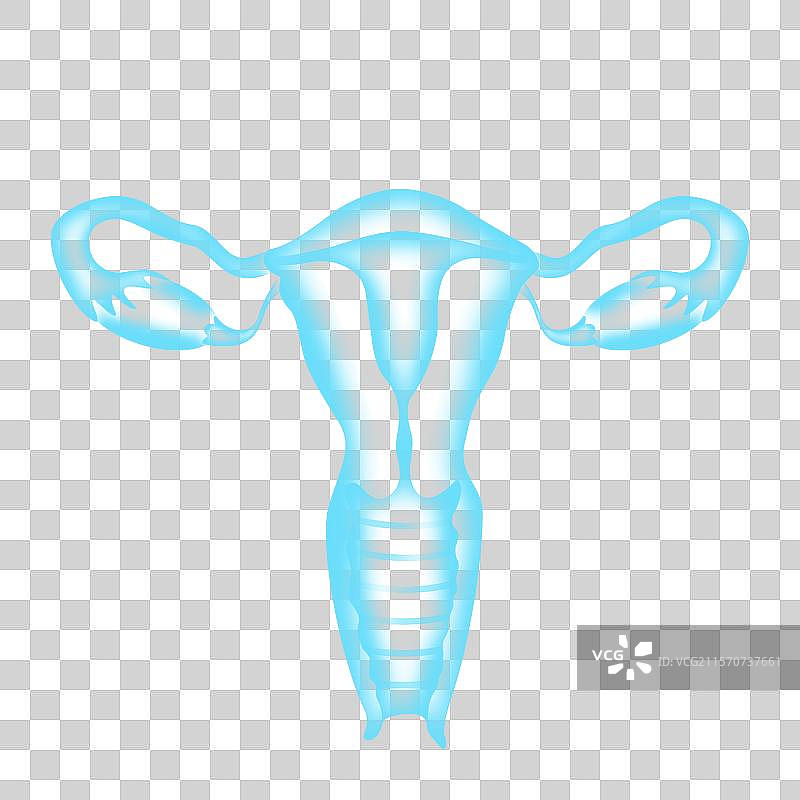 关注女性健康妇科子宫健康预防宫颈癌子宫癌扫描x光蓝色医疗图片素材