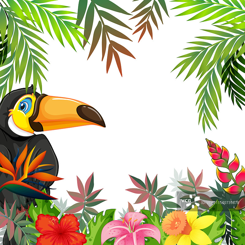 五彩斑斓的巨嘴鸟被生机勃勃的热带植物环绕图片素材