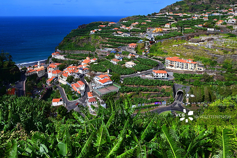 庞塔杜索尔村被香蕉树环绕，这是岛上主要的农作物之一。马德拉岛，葡萄牙。图片素材