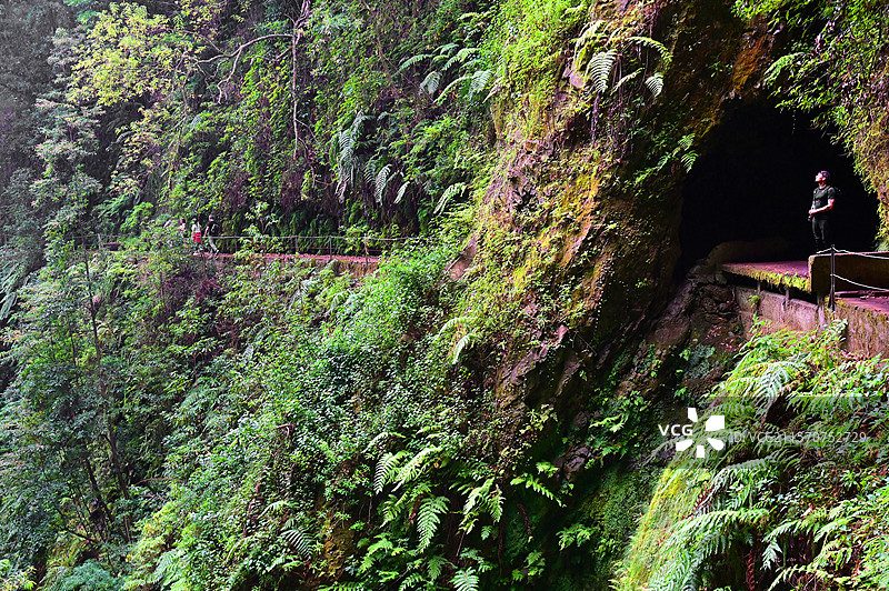 沿着PR 16 Ribeira di Inferno徒步旅行的小径，行走者们沿着灌溉渠道或levada走了几公里。圣文森特。马德拉岛。葡萄牙。图片素材