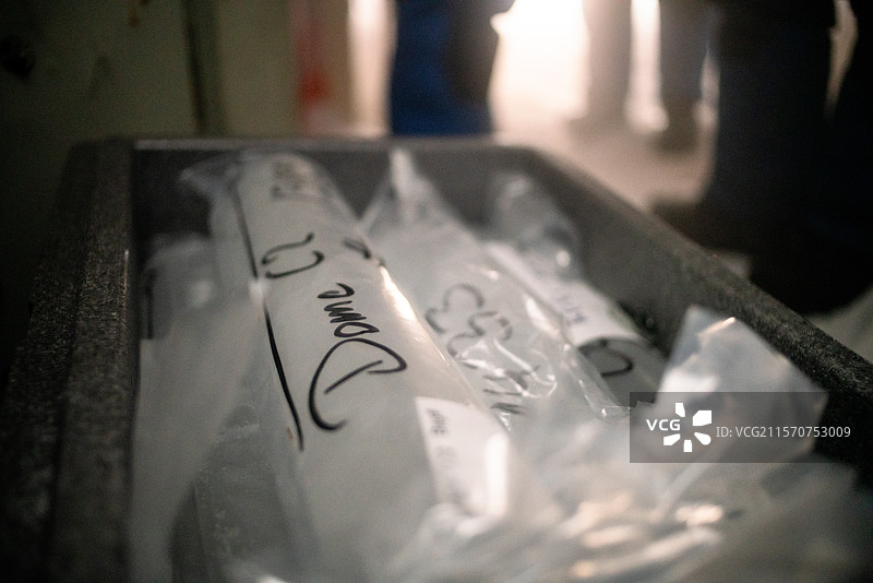 冰芯包含过去气候的档案。它们被小心包装和分类。康科迪亚南极研究站，Dome C高原，东南极。图片素材