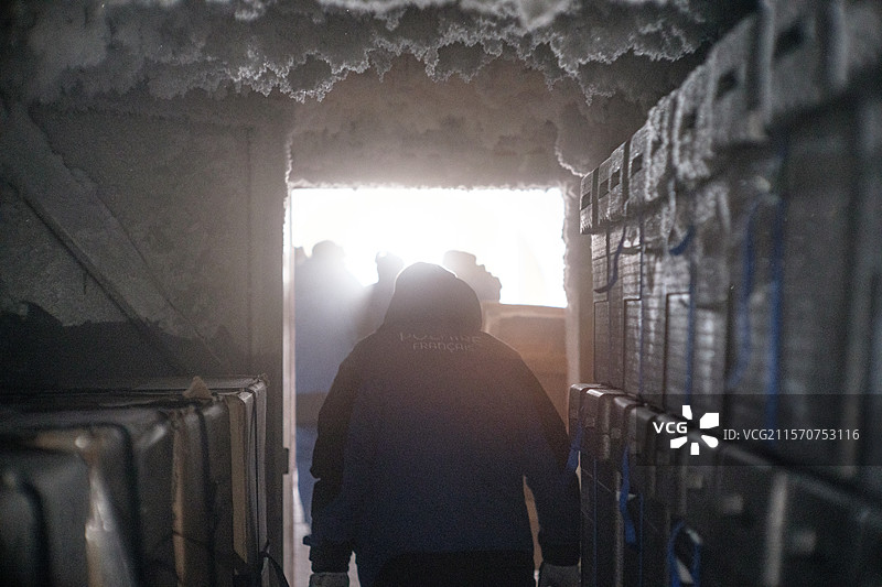 科学家们来到地下储藏室取回冰芯。这些冰芯包含了过去的气候档案。这些冰芯使得重建过去80万年的气候成为可能。位于东南极的康科迪亚南极研究站，圆顶C高原。图片素材