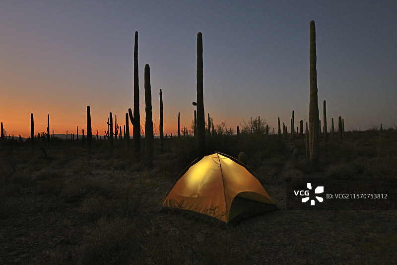 亚利桑那州，美国，管风琴仙人掌国家纪念碑的露营地图片素材