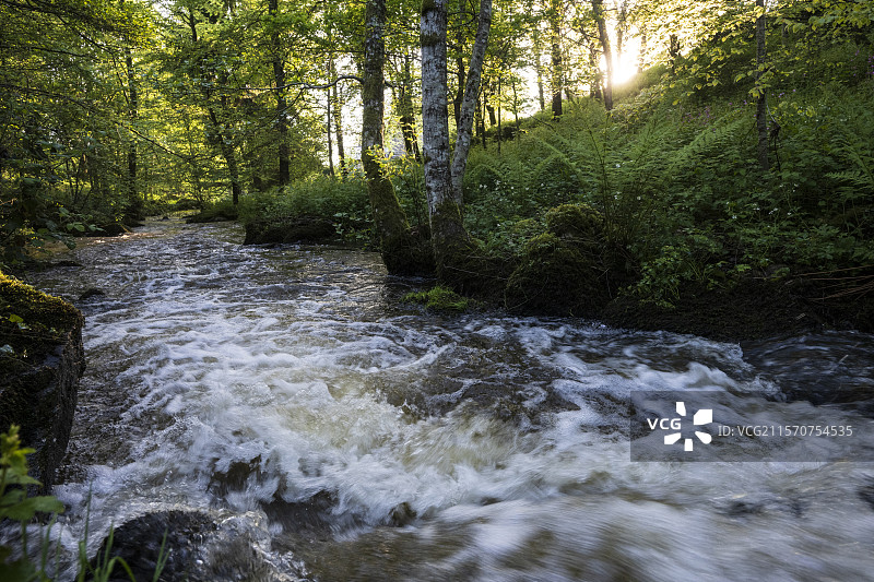 黎明时分的小溪，克吕兹，利穆赞，法国图片素材