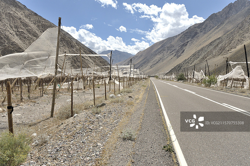 在干旱环境中，因严重干旱而被遗弃的用于保护灌溉作物的塑料造成的农业污染，智利科金博大区上埃尔基谷。图片素材