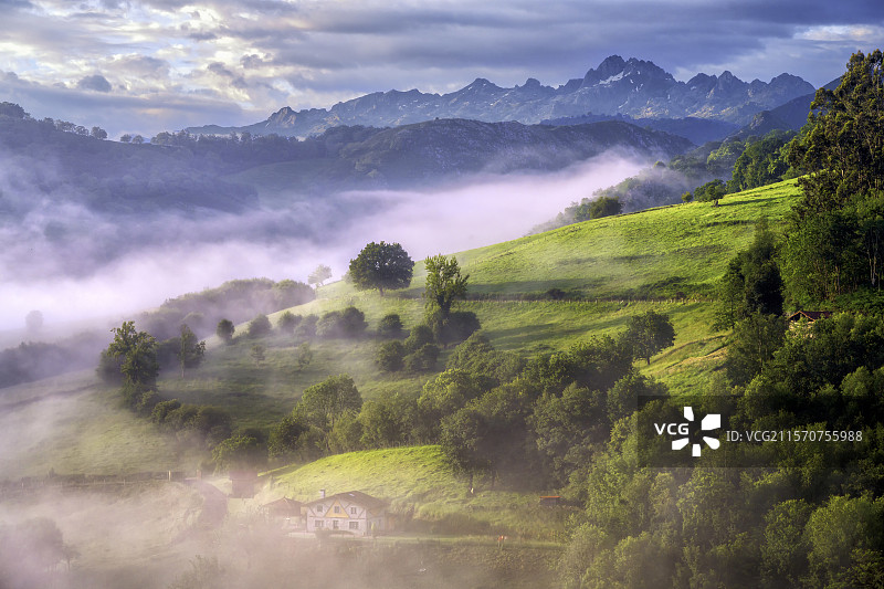 西班牙欧洲山脉西北边缘的雾气。著名的欧洲山脉是坎塔布连山脉中最高的山体，位于阿斯图里亚斯、莱昂和坎塔布里亚省之间，距离海洋约30公里：这里是棕熊和伊比利亚狼的栖息地。它是一个生物圈保护区。阿斯图里亚斯的冈加斯·德·奥尼斯地区。图片素材