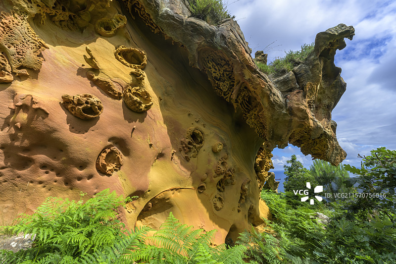 自然蕾丝状（地貌）在哈伊兹基贝尔砂岩（西班牙巴斯克地区）。显著的始新世砂岩雕塑（地貌），部分源于生物（化石化的生物活动称为Paramoudra，围绕海洋蠕虫洞的结核），经过侵蚀雕刻成蜂窝形状 - 哈伊兹基贝尔海岸山脉 - 西班牙图片素材