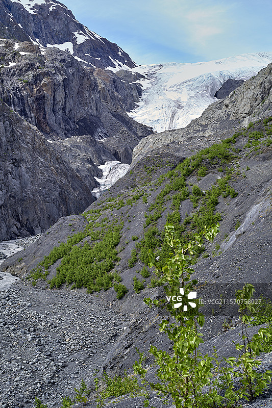 冰川出口，基奈峡湾国家公园，阿拉斯加，美国图片素材
