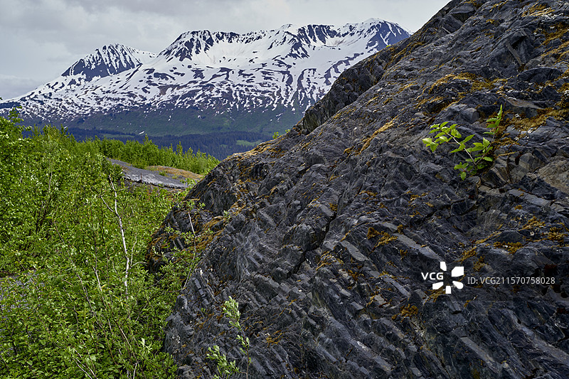 冰川出口，基奈峡湾国家公园，阿拉斯加，美国图片素材