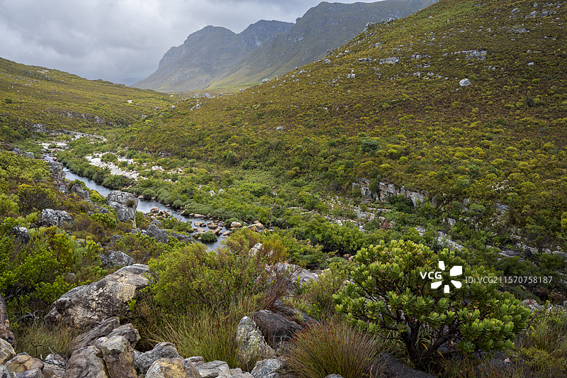 帕尔米特河流经科戈尔堡自然保护区，属于科戈尔堡生物圈保护区，位于南非西开普省的奥弗贝格地区。图片素材