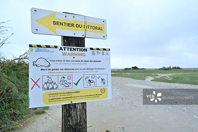 关于法国索姆省霍尔德角海豹观察距离的信息面板图片素材