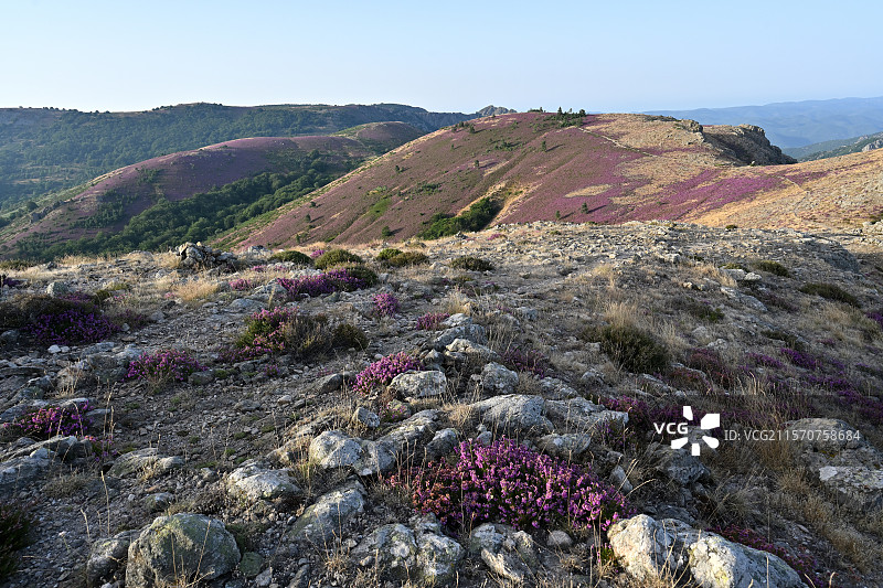 法国埃罗省卡鲁克斯和埃斯皮努斯山脉的梅恩温室景观图片素材