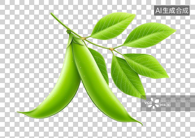 【AI数字艺术】【免抠png素材】3D卡通豆角图片素材