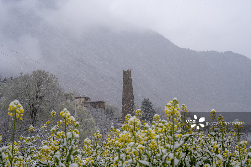 雪中的中路藏寨图片素材