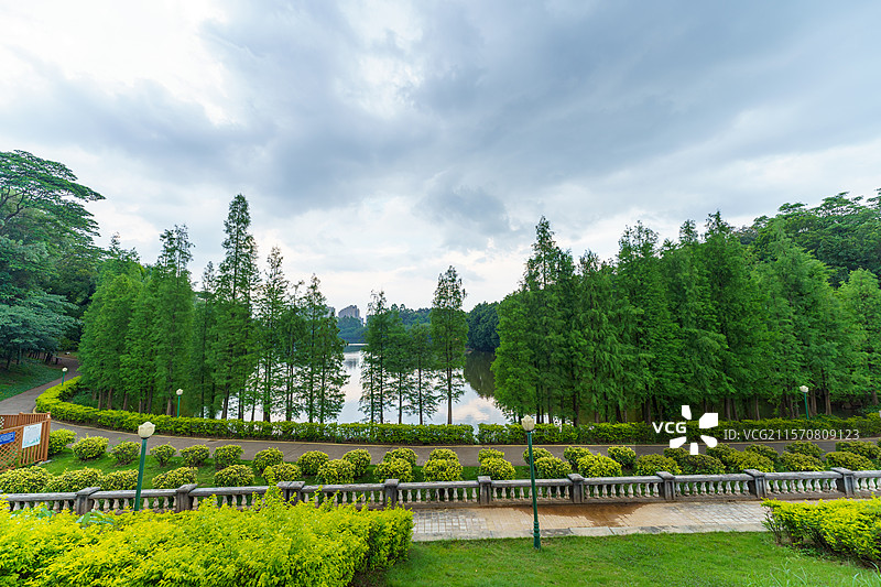 佛山市三水区森林公园图片素材