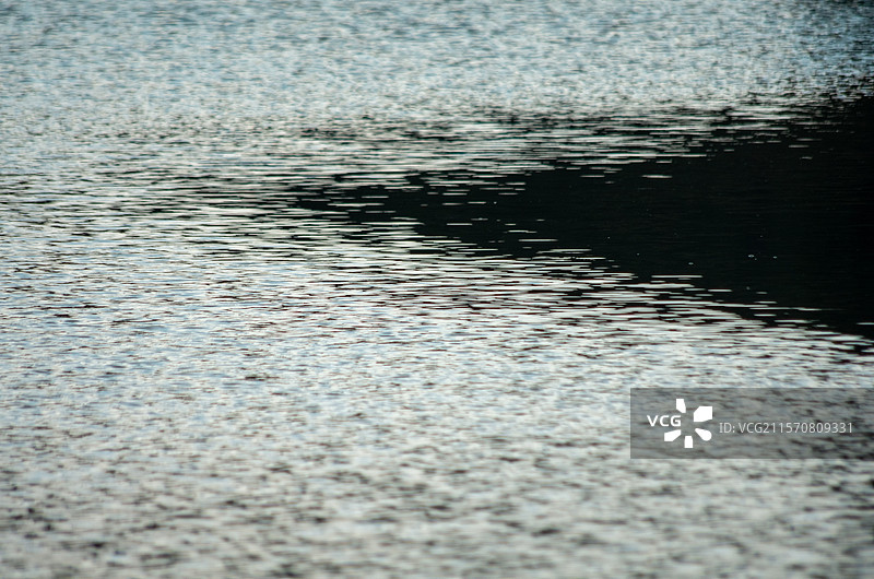 佛山市三水区森林公园图片素材