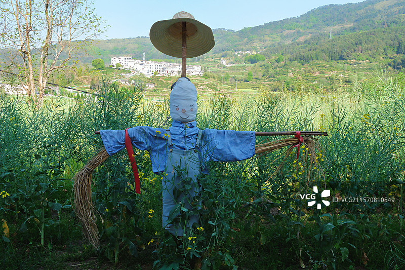 稻草人图片素材