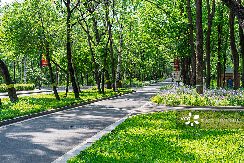 东北林业大学校园美景图片素材
