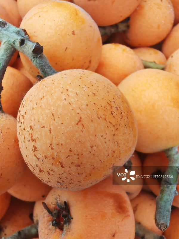 枇杷初夏风味圆润橙黄的枇杷剥皮鲜嫩多汁的果肉展露眼前，清甜滋味在舌尖四溢。用醇厚果香晕染美妙轮廊图片素材