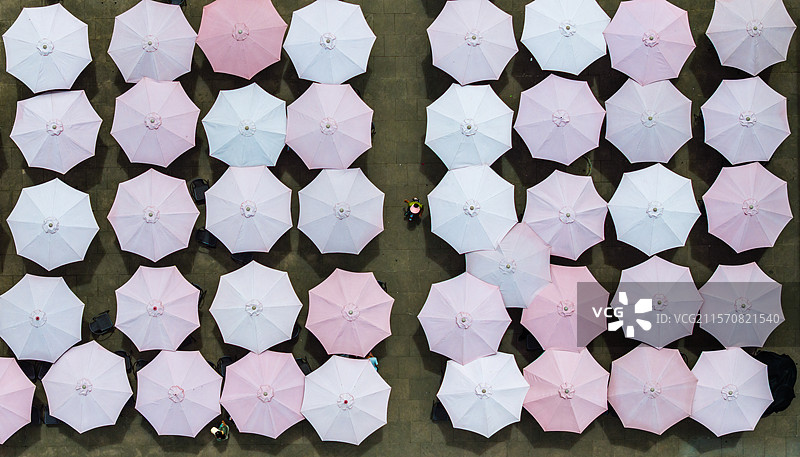 阳光下的太阳伞图片素材