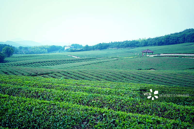 宜兴-龙池山自行车公园图片素材
