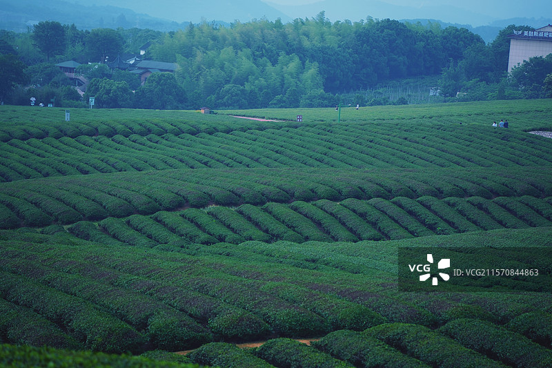 宜兴-龙池山自行车公园图片素材