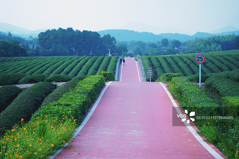 宜兴-龙池山自行车公园图片素材