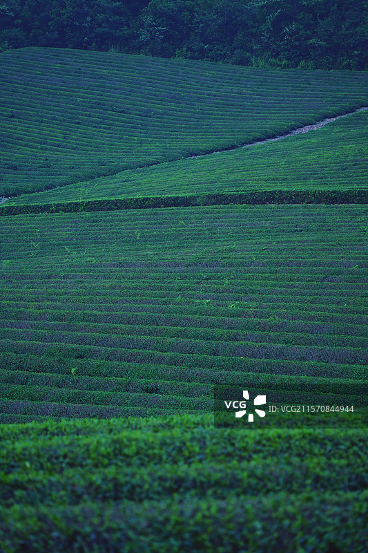 宜兴-龙池山自行车公园图片素材