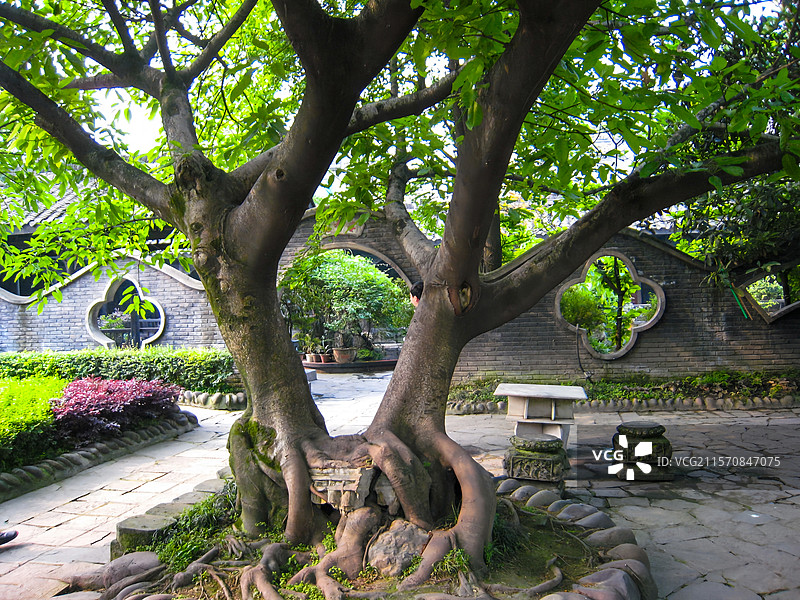 乐山郭沫若故居图片素材