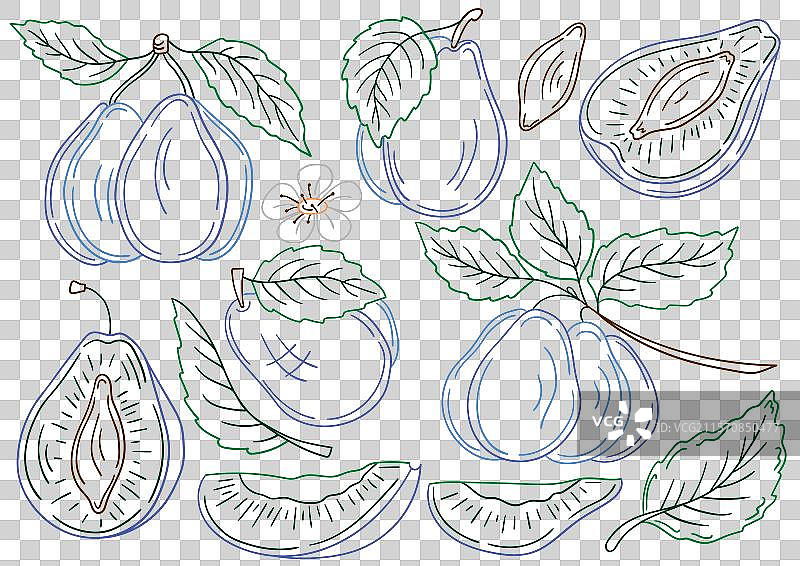 手绘风格的色彩组合图片素材