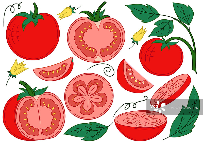 手绘风格的色彩组合图片素材