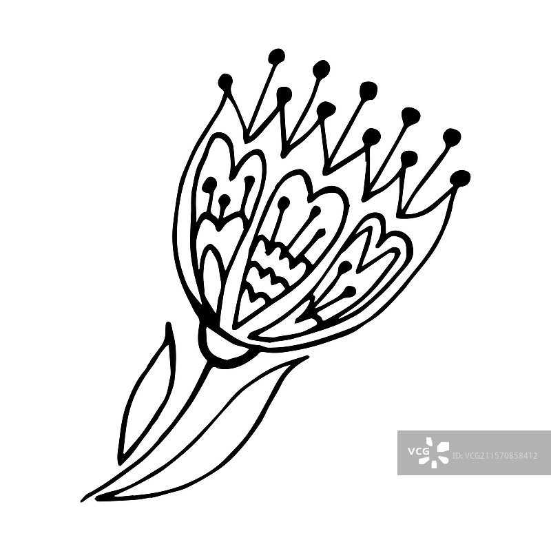 纺织模板装饰民俗元素装饰图片素材