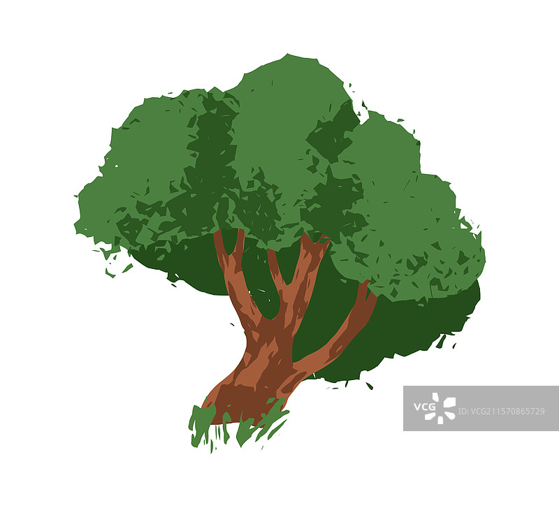 茂盛的绿色叶子树木，丰盛的落叶植物图片素材