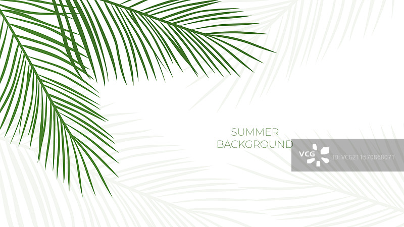 热带叶子背景图片素材