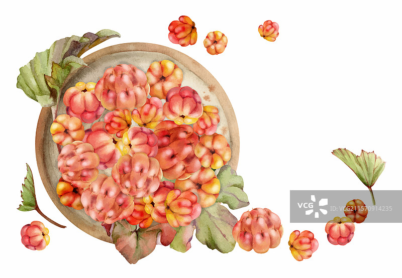 云莓和覆盆子堆在绿色陶瓷盘上图片素材