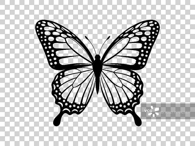 复活节篮子与蝴蝶的线条艺术图片素材