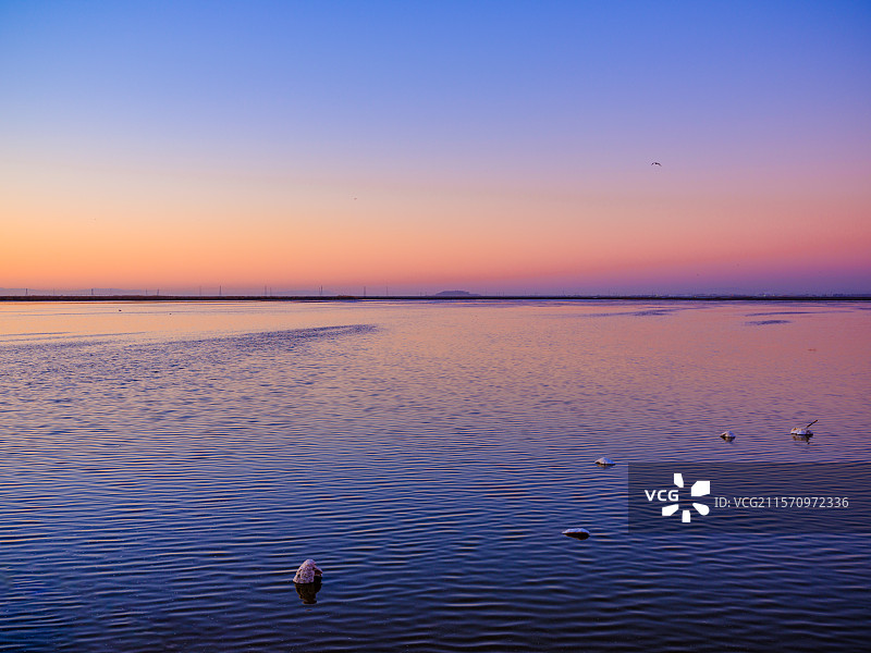 加州硅谷圣何塞盐湖粉色日落自然风光背景图图片素材