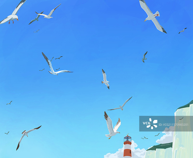 海鸥 天空图片素材