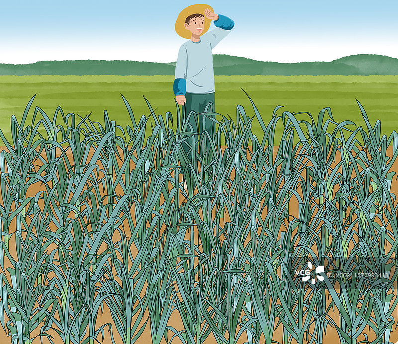 农田农业农民农村乡村乡下乡民乡里家园家乡种地劳作劳动下地干活辛苦种植庄稼农作物大蒜蒜苗锻炼场景插画图片素材