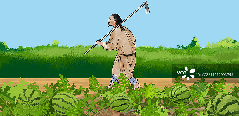 农田农业农民农村乡村乡下乡民乡里家园家乡种地劳作劳动下地干活辛苦种植庄稼农作物锻炼西瓜场景插画图片素材