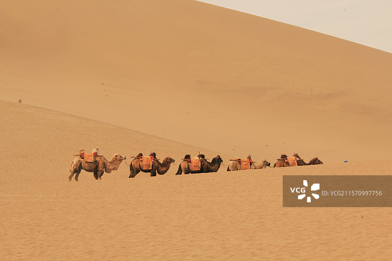 踏入黄沙图片素材