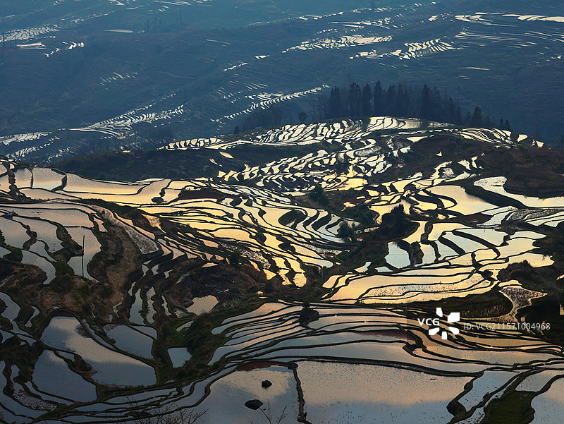 梯田晨曦，拍摄于云南省元阳县多依树梯田图片素材