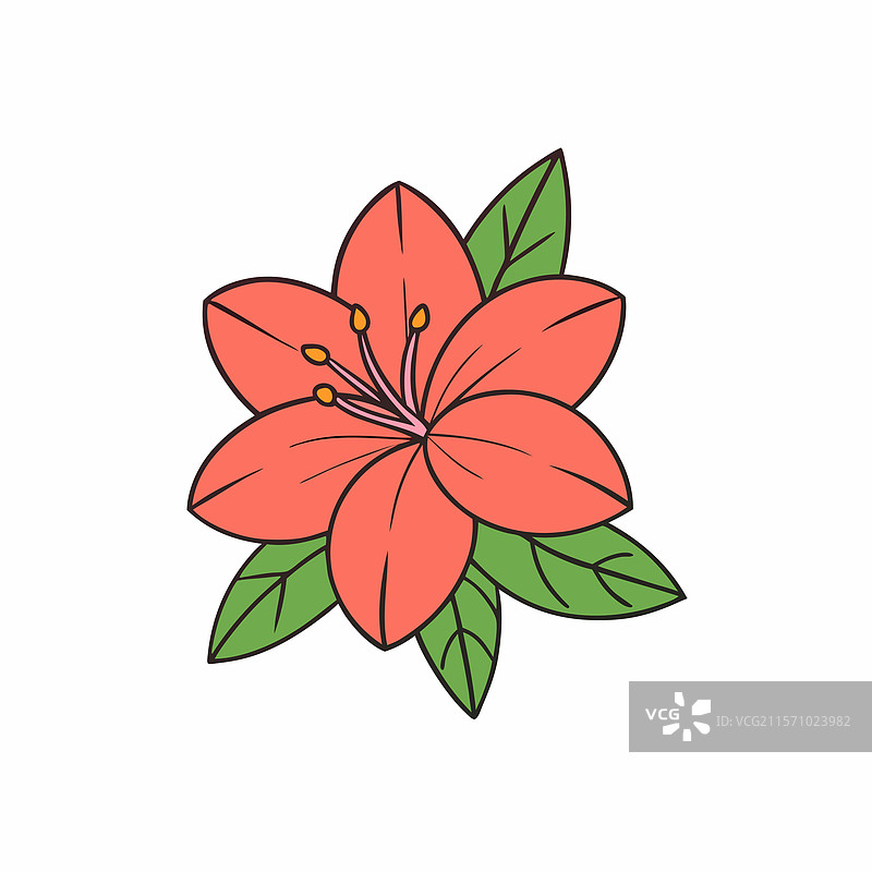 杜鹃花图片素材