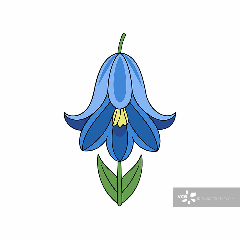 蓝铃花的多彩设计图片素材